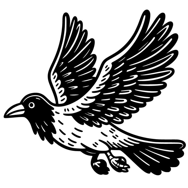 a flying crow