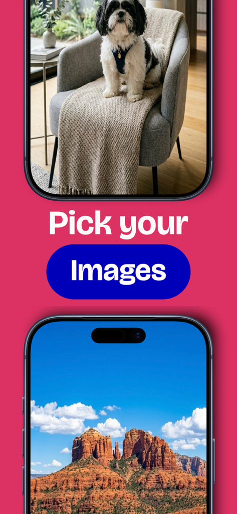 Brickart - Interface mostrando a opção de escolher imagens dentro do aplicativo Brickart, com fotos de um animal de estimação e uma paisagem.