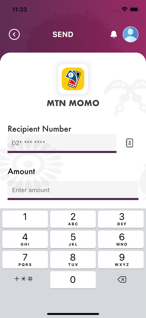 FlexiPAY App - Interface of the FlexiPAY App showing a money transfer screen for MTN MOMO with input fields for recipient number and amount.