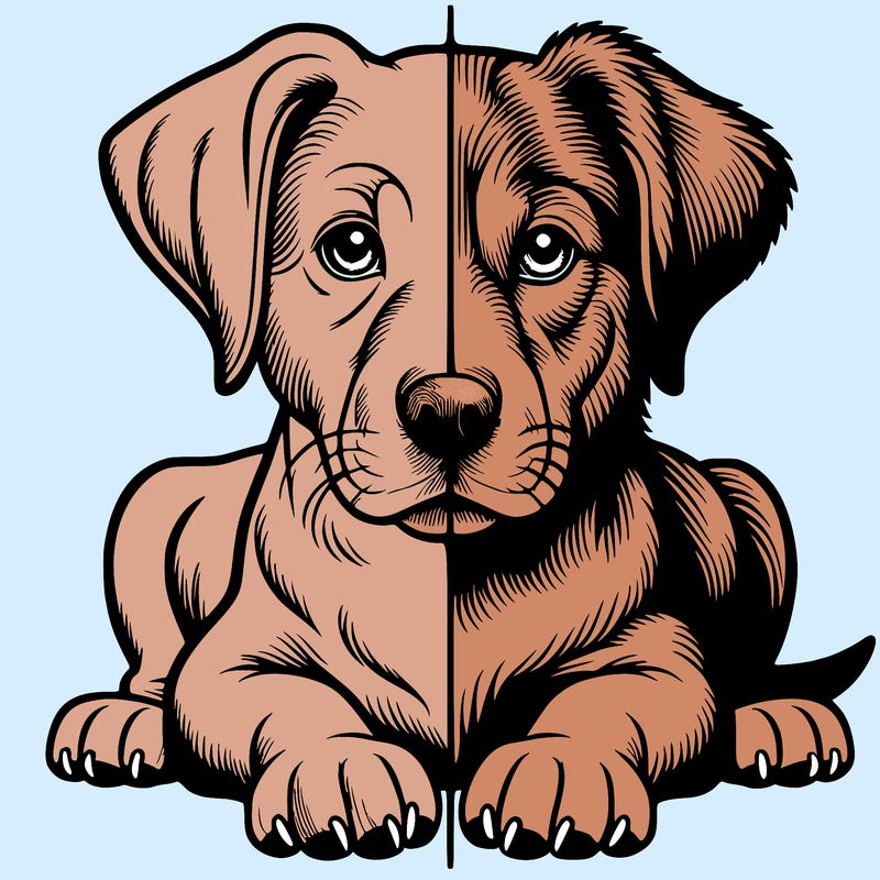 realistic dog split picture