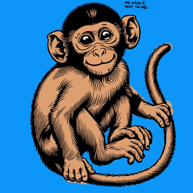 realistic monkey