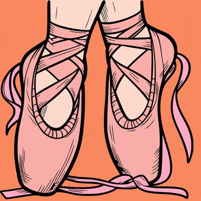 ballet shoes