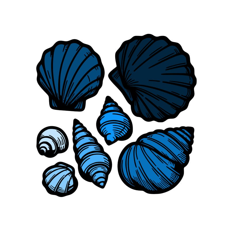 shells