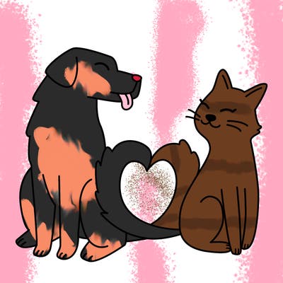 animals_22