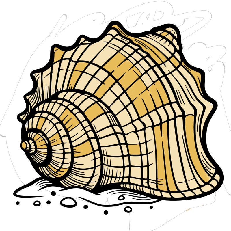 sea shell