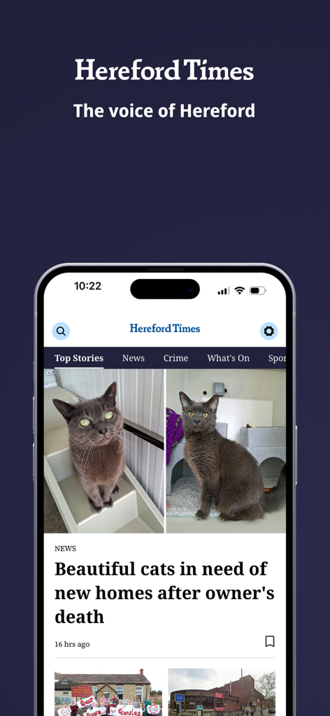 Hereford Times - Hereford Times news app interface showing top stories and a local news article about cats