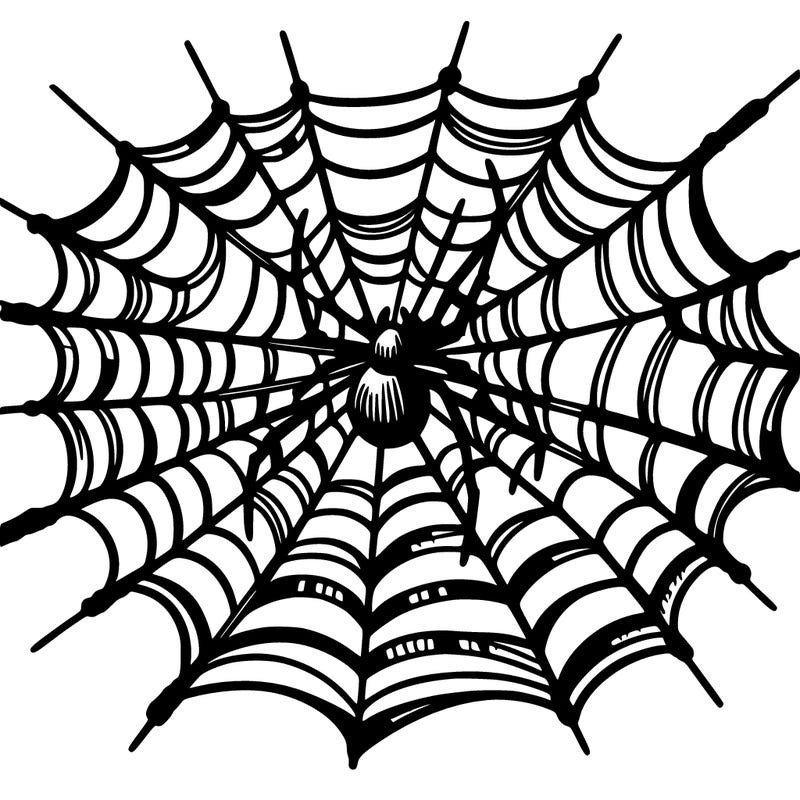 spider web