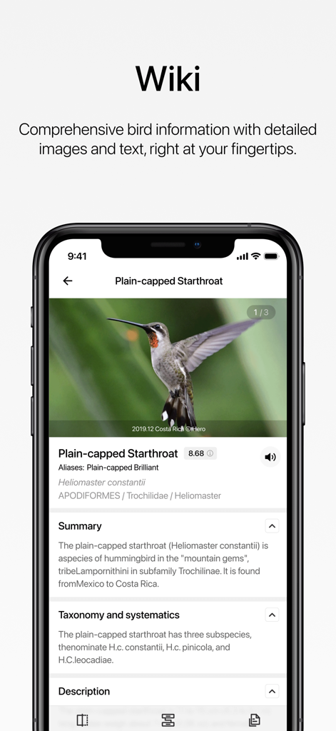 Aboutbirds - Plain-capped Starthroat鳥の詳細情報と分類学を示すAboutbirdsウィキページを表示するモバイルアプリ画面