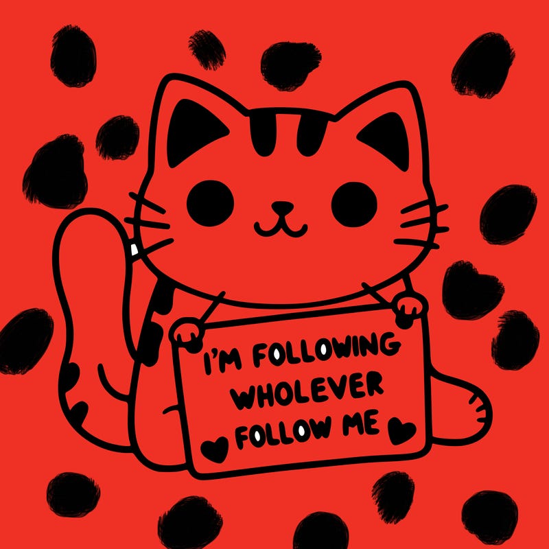 cat with a sign that says i’m following whoever follows me