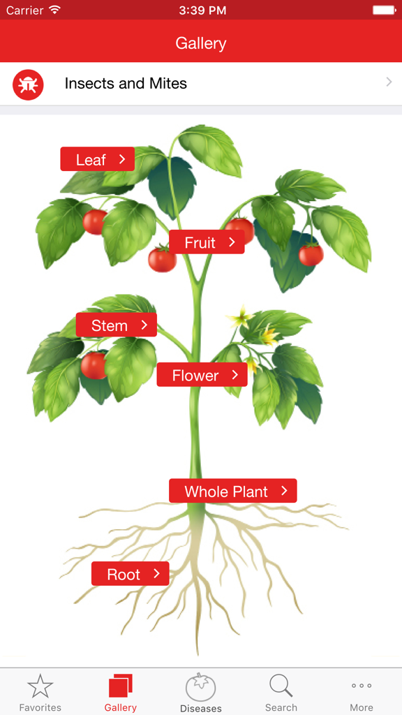 Tomato MD - Interactive tomato plant diagram for disease diagnosis by plant part