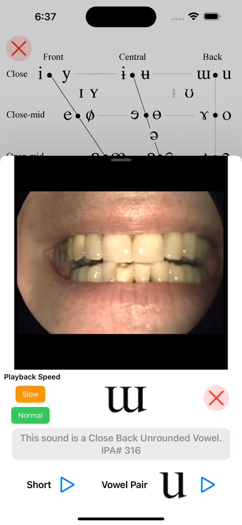 iPA Phonetics - Démonstration vidéo de l'articulation d'une voyelle postérieure fermée non arrondie dans l'application iPA Phonetics