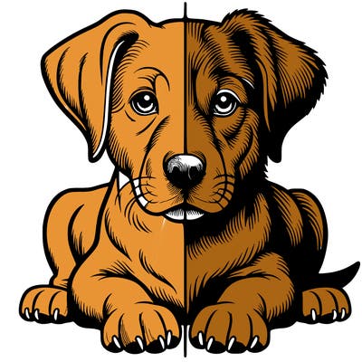 realistic dog split picture