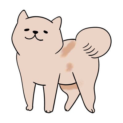 animals_29