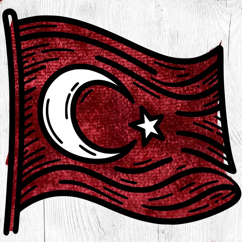 turkish bayraiği