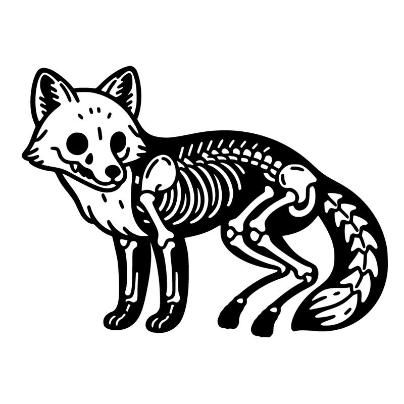 detailed half skeleton fox