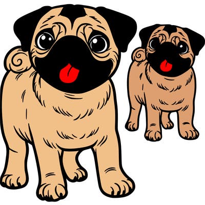 pug
