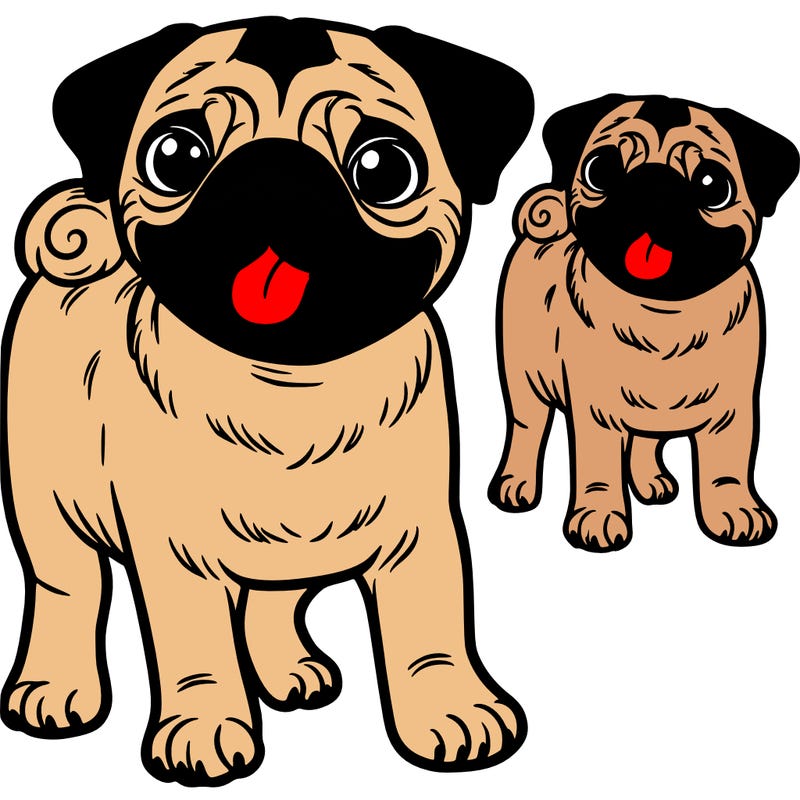 pug