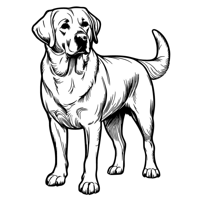realistic dog yellow lab
