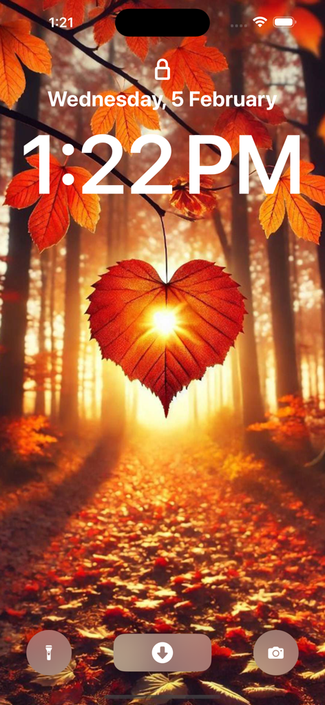 Nova Themes & Launcher - Customized iPhone lock screen with a heart shaped red leaf and autumn forest theme