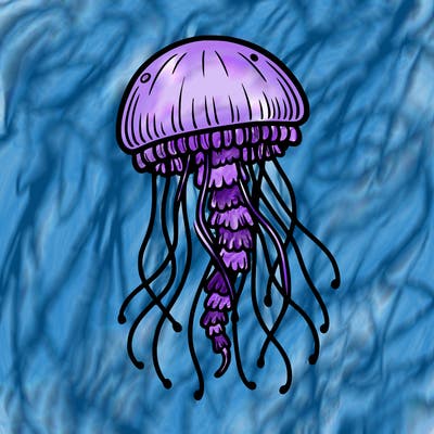 jellyfish