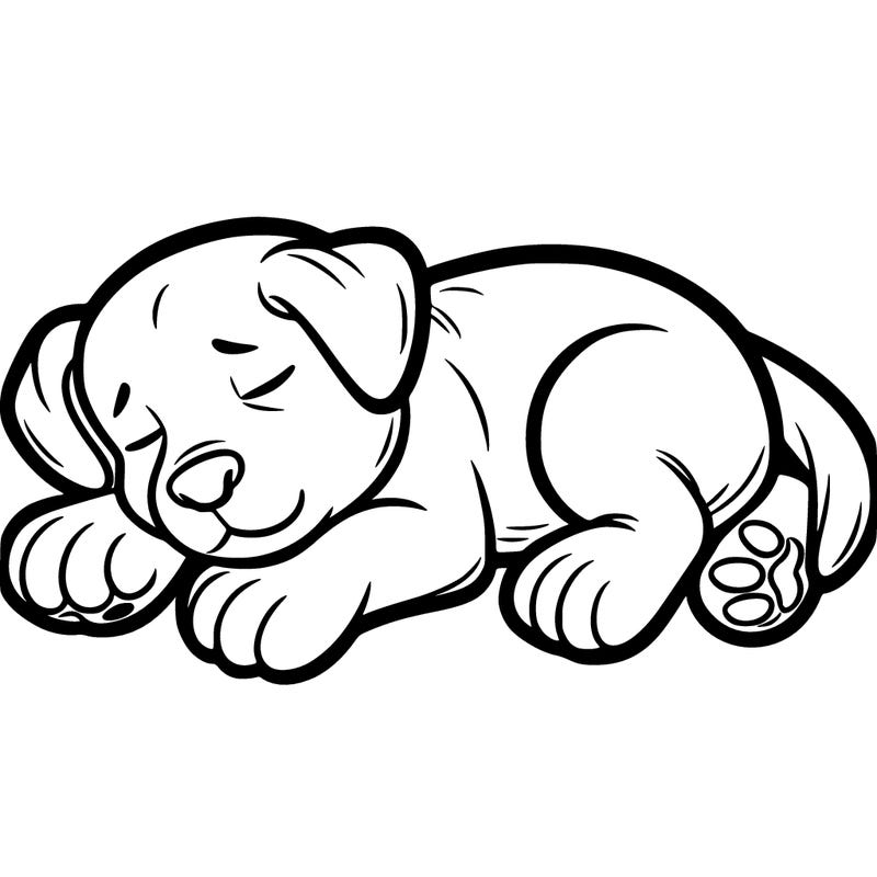 sleeping puppy