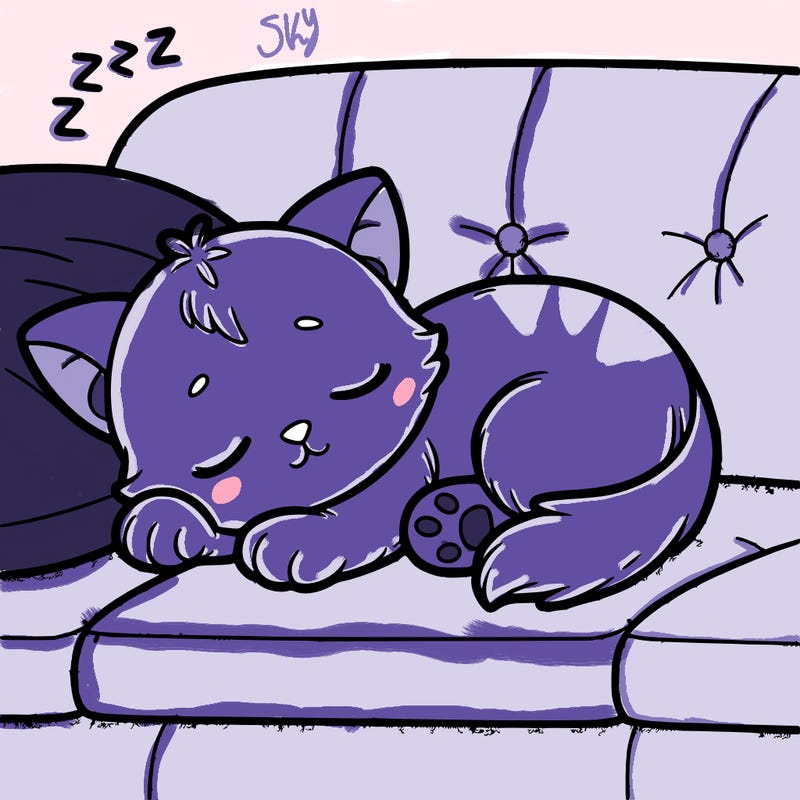 cute small kitten sleeping on a sofa