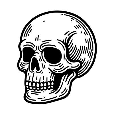 skull