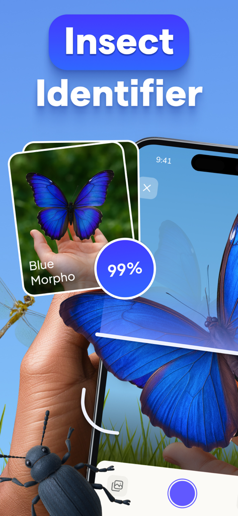 Identifier - Insect IQ - Insect IQ app identifying a Blue Morpho butterfly with ninety nine percent accuracy