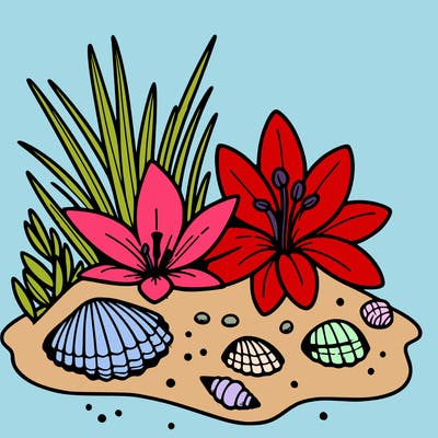 sand, lily, shells