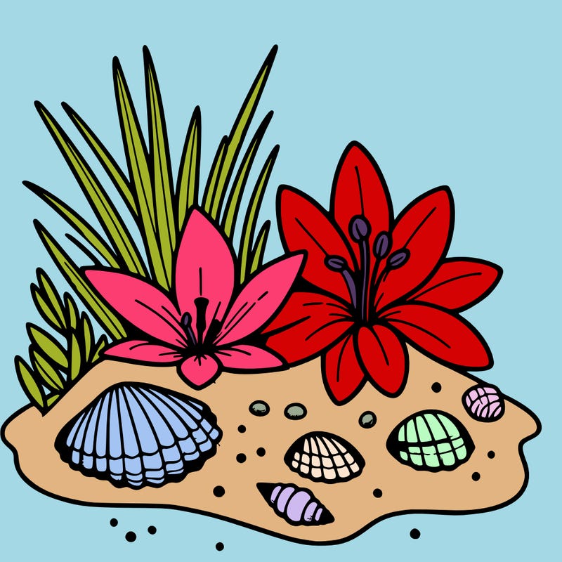 sand, lily, shells