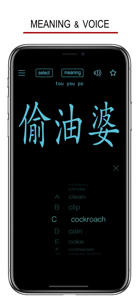 Sichuanese - Chinese Dialect - 쓰촨어 앱 인터페이스에 중국어 문자와 영어 단어 의미 목록이 표시됨