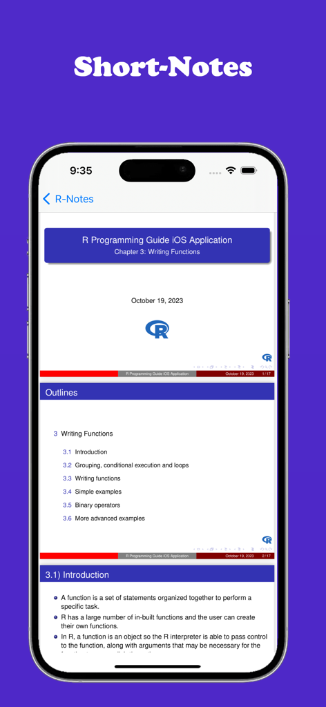 Interfaz de la aplicación Guía de Programación R mostrando notas breves y esquemas para escribir funciones.