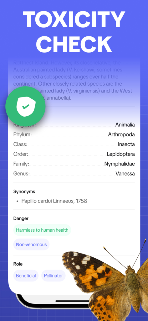Toxicity check interface showing safety and ecological information for an identified butterfly