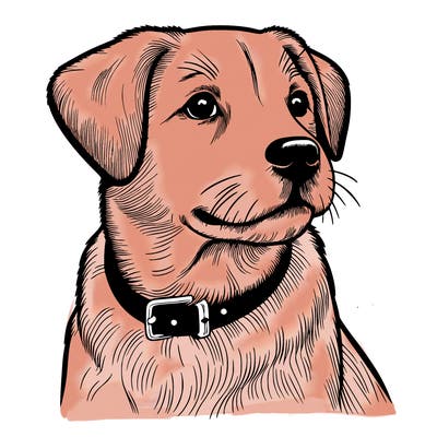 dog realistic
