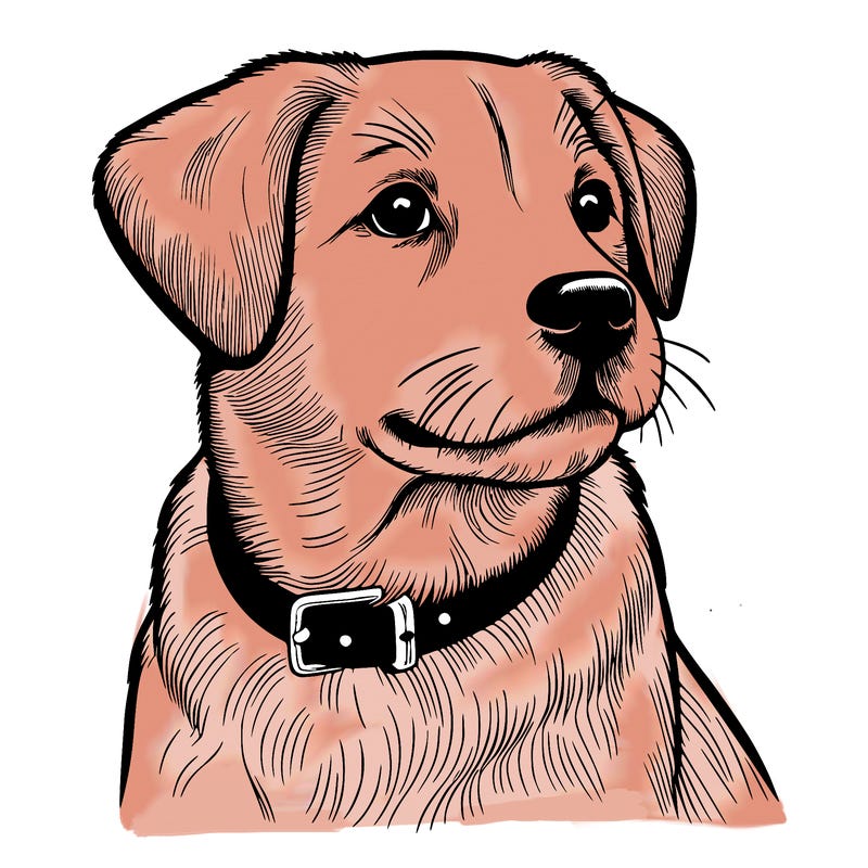 dog realistic