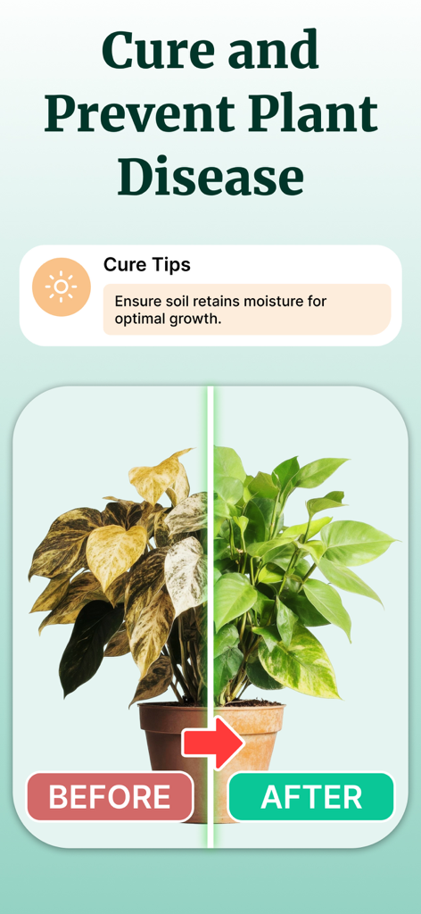 Comparaison d'une plante malade et d'une plante saine montrant la fonction de guérison et de prévention des maladies des plantes.