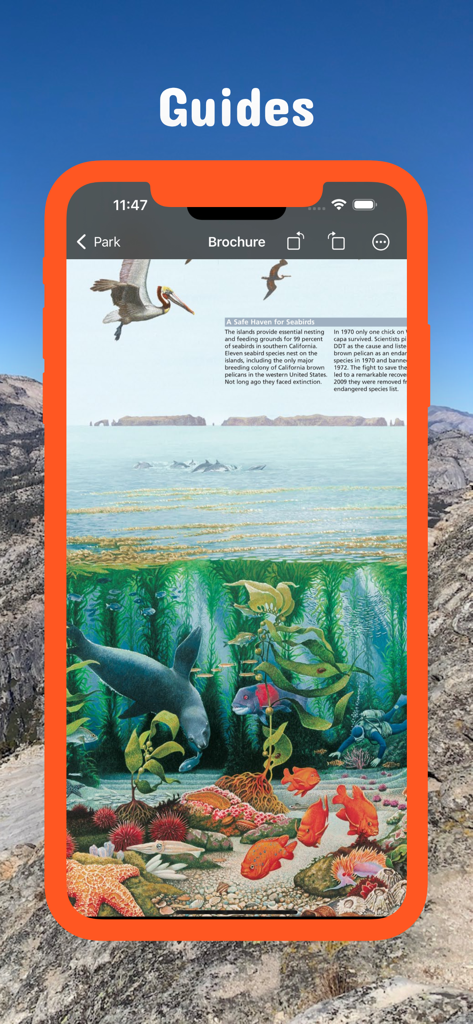 캘리포니아 포켓 지도 앱에서 해양 생물과 바닷새 일러스트가 포함된 디지털 공원 브로셔를 보여주는 모바일 화면.