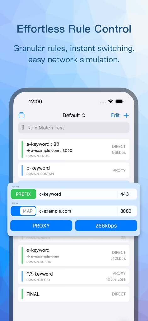 Proxy Capture - User interface of Proxy Capture app showing granular network rules and simulation settings for developer debugging.