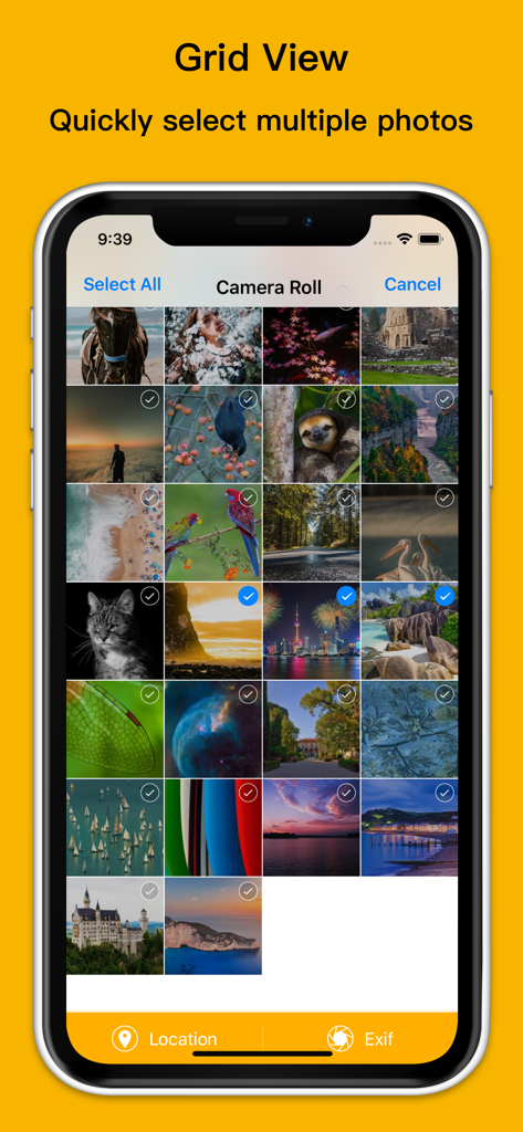 Exif Viewer app grid view showing multiple photos selected for metadata management