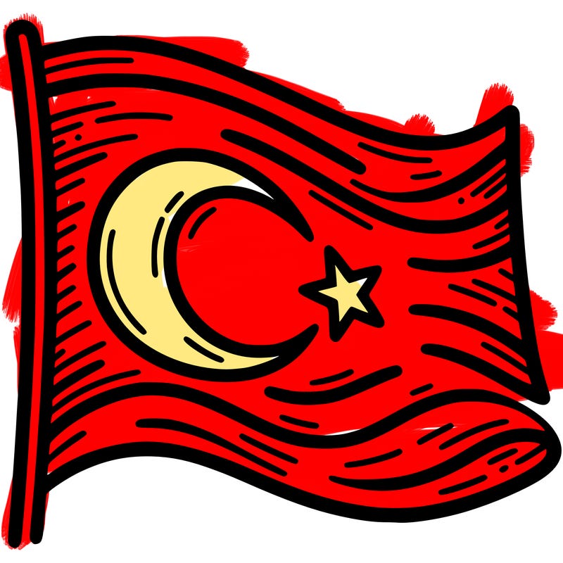 turkish bayraiği