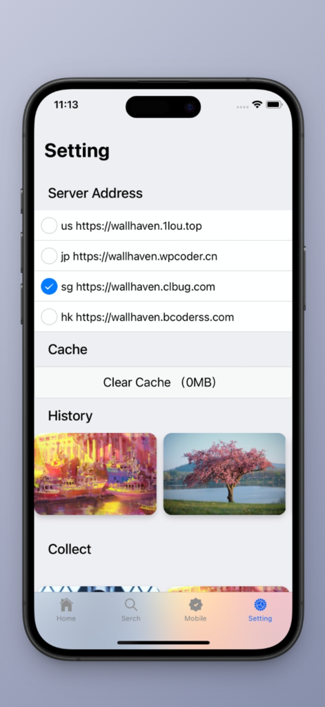 Écran des paramètres de l'application Wallhaven Pro montrant la sélection du serveur et l'historique des fonds d'écran