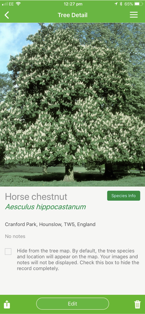 Vista dettagliata di un ippocastano nell'app di identificazione degli alberi britannici che mostra il nome scientifico e la posizione.