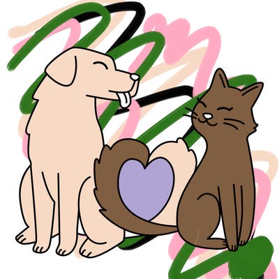 animals_22