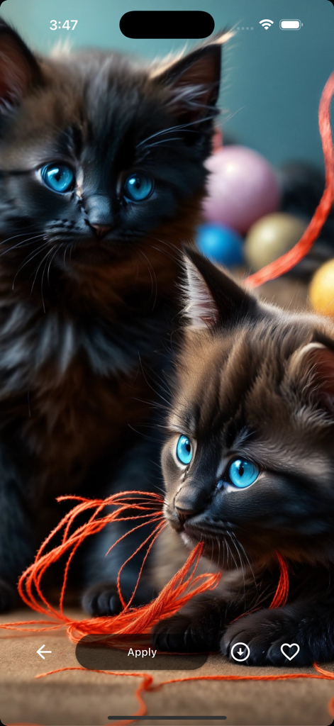 Dos adorables gatitos negros con vibrantes ojos azules jugando con lana naranja