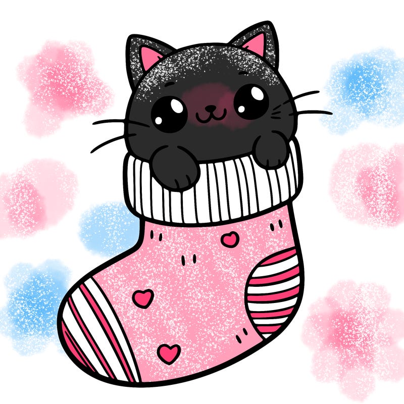 cute cat in a sock
