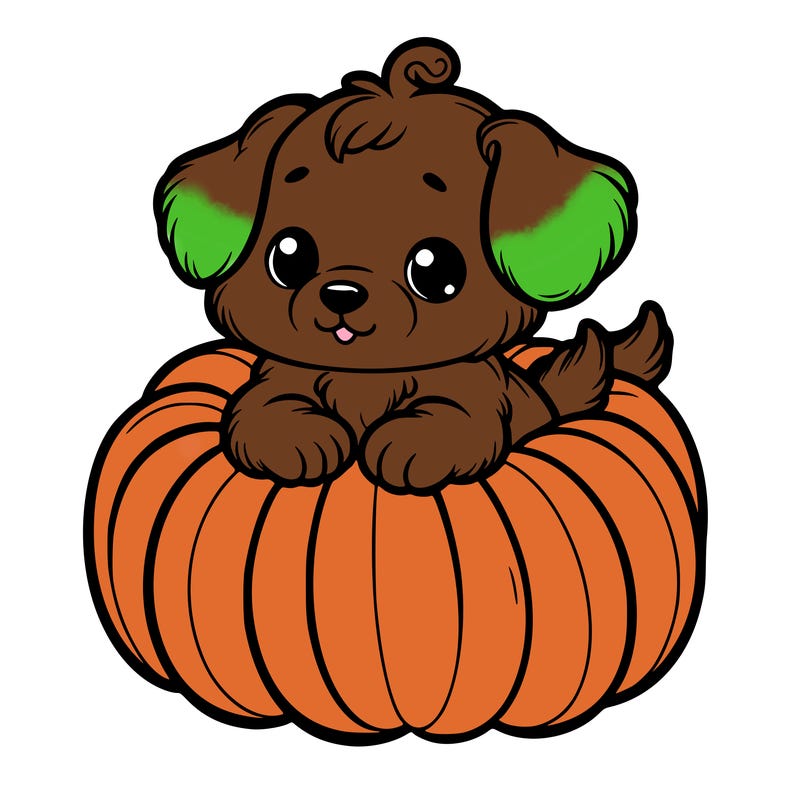 cute little puppy in a pumpkin
