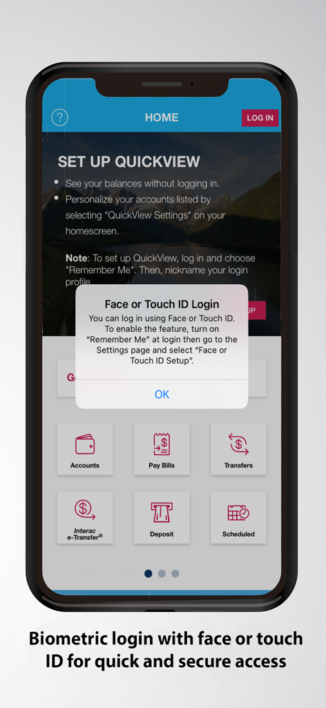Envision Financial mobile app biometric login screen for Face and Touch ID