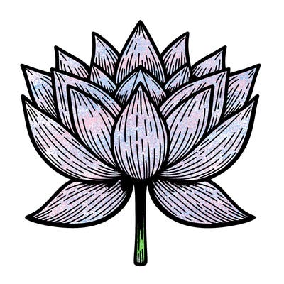 lotus flower