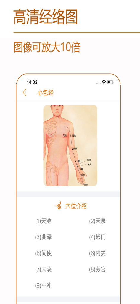 High-definition acupoint and meridian diagram on a human body figure from the Meridian Health app