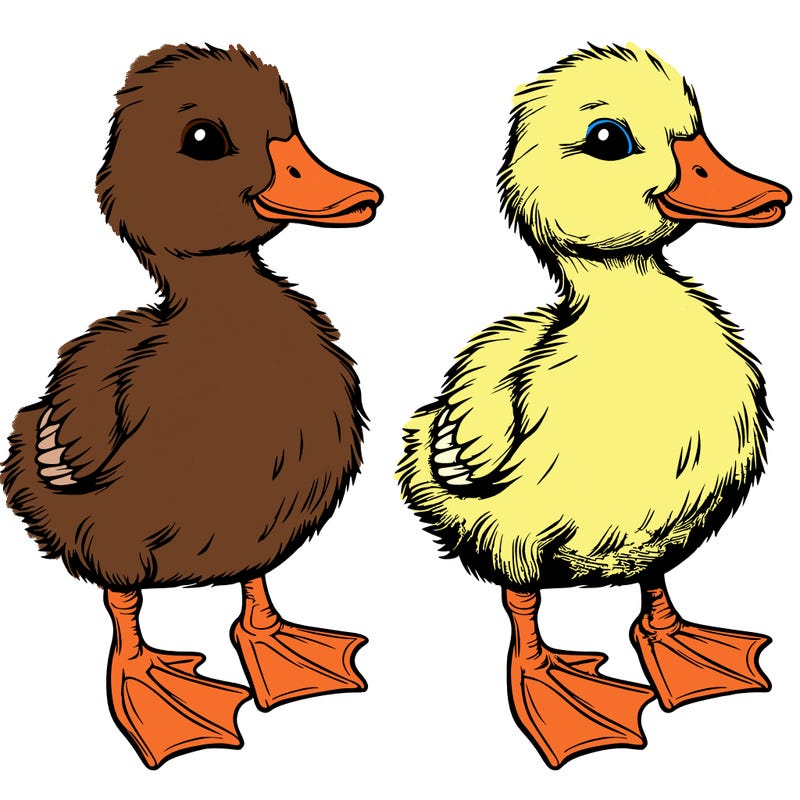 realistic duckling